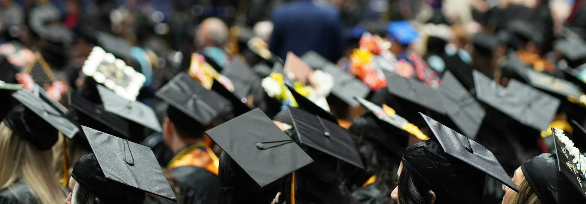 🌍 U.S. Politics and the Future of International Education