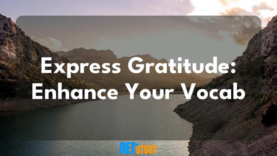 appreciate-in-a-sentence