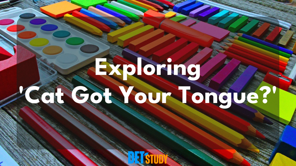 cat-got-your-tongue-sentence