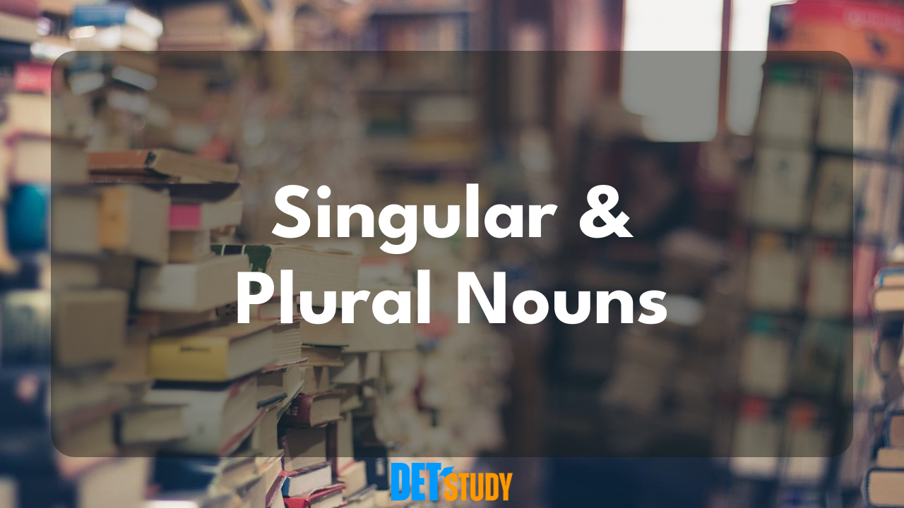 nouns-that-are-singular-and-plural