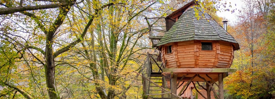 Magic Tree House Reading Comprehension Questions: Enhance Literacy Skills with Engaging Activities